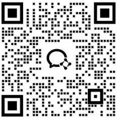 网页版技术顾问